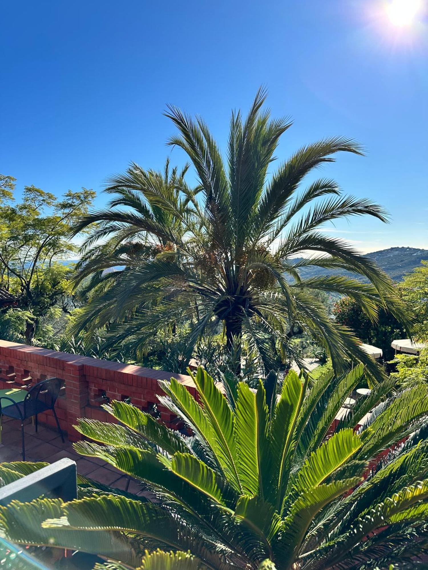 Relais San Damian Apart otel Imperia Dış mekan fotoğraf